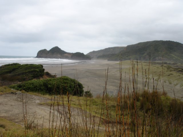 bethellsbeachaucklandxenafilmlocations38.jpg