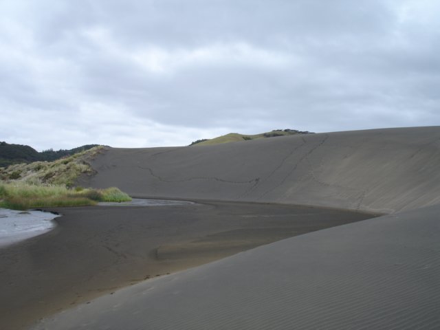 bethellswaitidunesandlakewainamuxenafilmlocations42.jpg