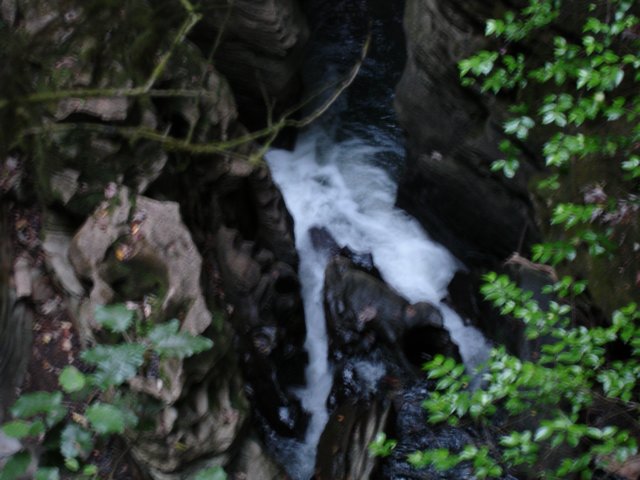 waitomocaveslittleparc15.jpg