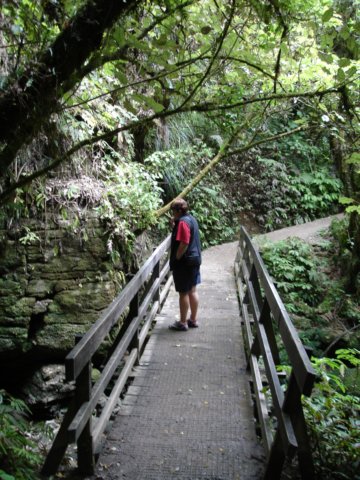 waitomocaveslittleparc4.jpg