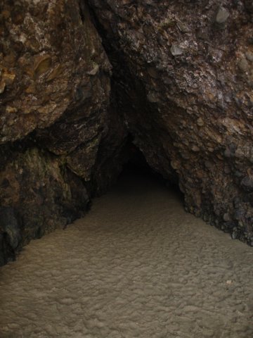 bethellsbeachauckland7.jpg