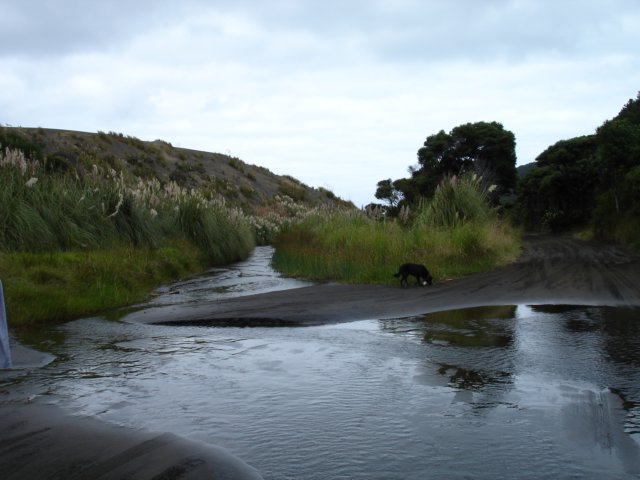 bethellswaitidunesandlakewainamuxenafilmlocations38.jpg