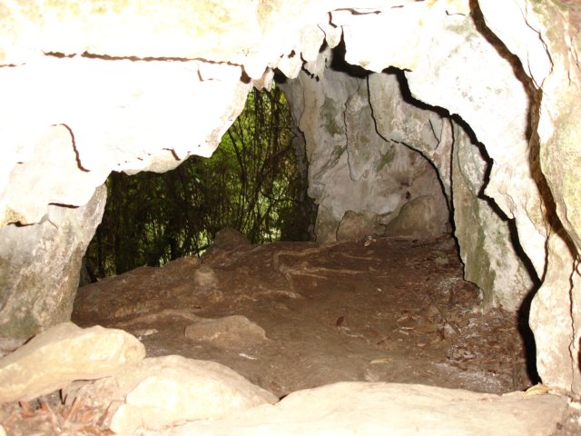 waitomocaveslittleparc6.jpg