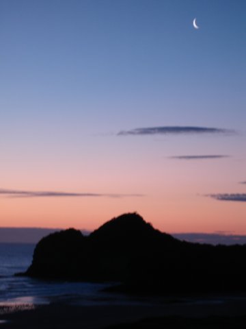 bethellsbeachaucklandsun14.jpg