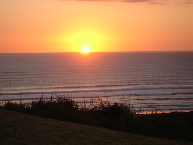 bethellsbeachaucklandsun16.jpg