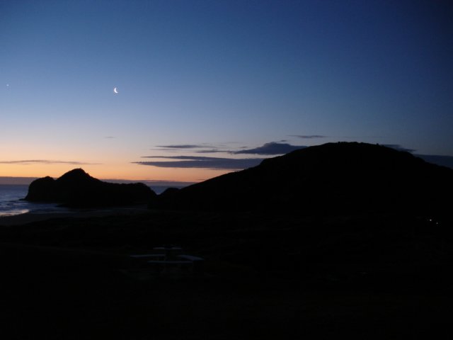 bethellsbeachaucklandsun4.jpg