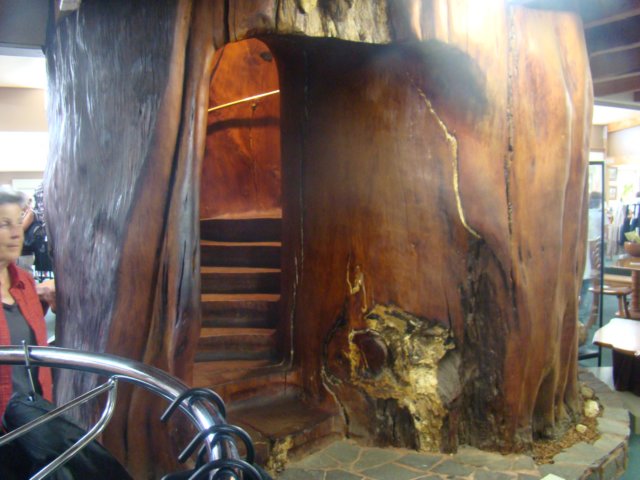 dsc02918.jpg