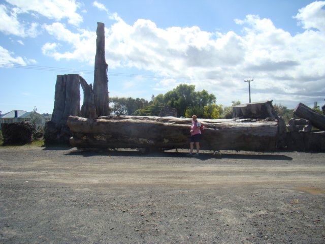 dsc02929.jpg