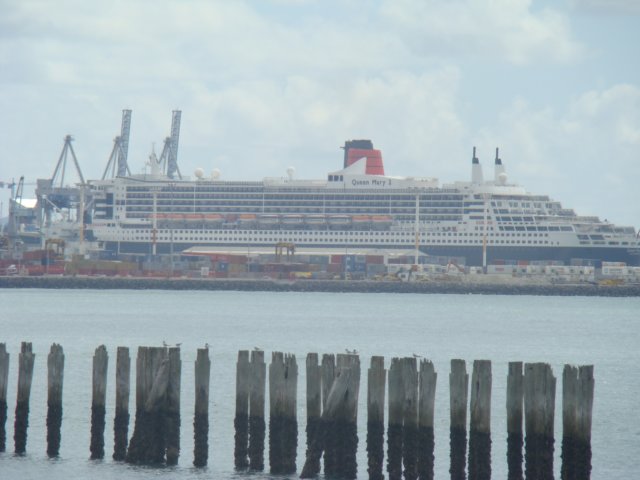 dsc02512.jpg
