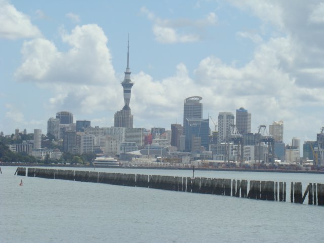 dsc02513.jpg