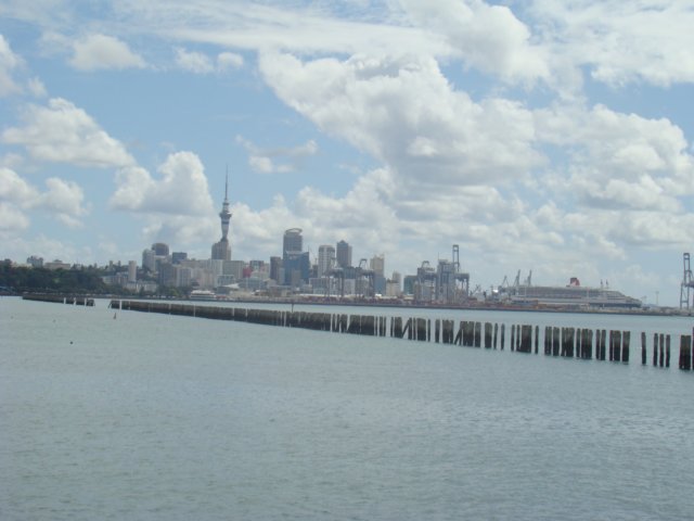 dsc02515.jpg