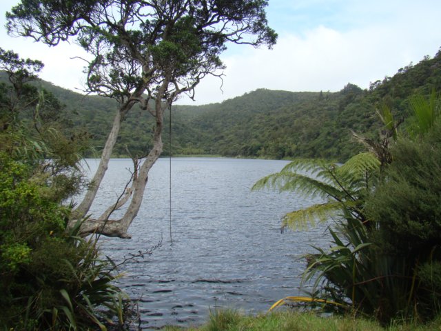 dsc03464.jpg