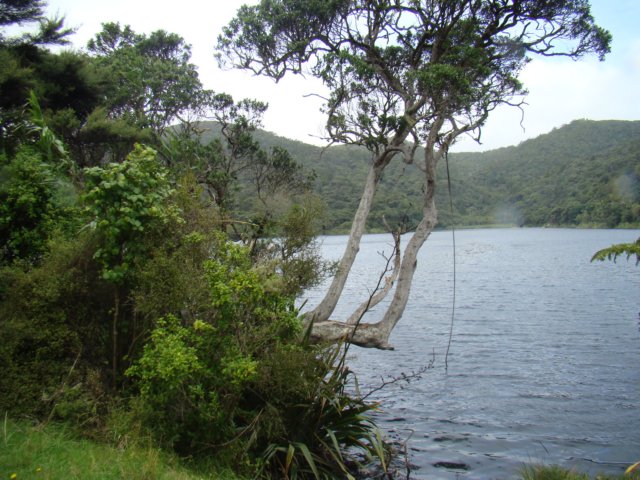 dsc03466.jpg