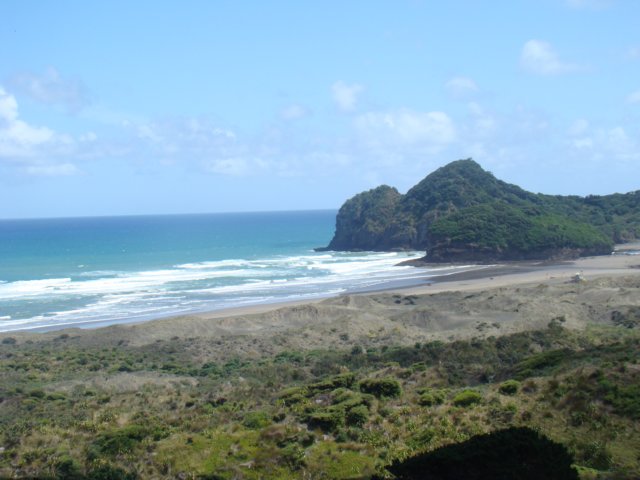 dsc02308.jpg