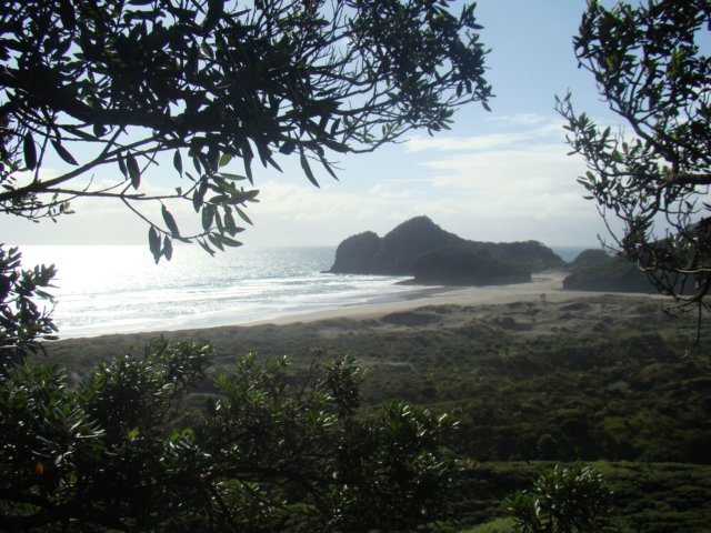 dsc02496.jpg