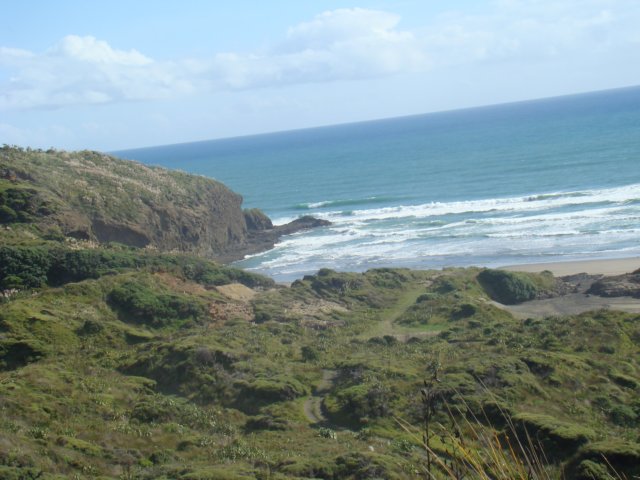 dsc02501.jpg