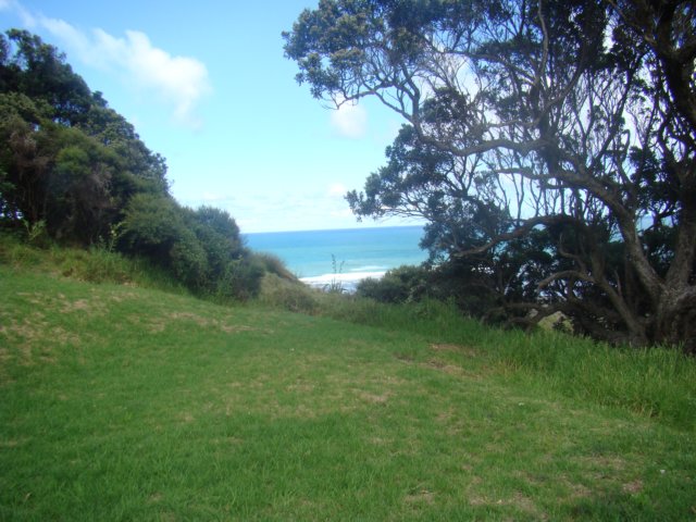 dsc02523.jpg