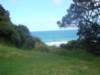 dsc02524_small.jpg