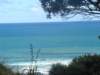 dsc02526_small.jpg
