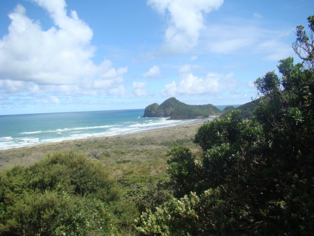 dsc02529.jpg