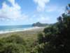 dsc02529_small.jpg