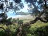 dsc02534_small.jpg
