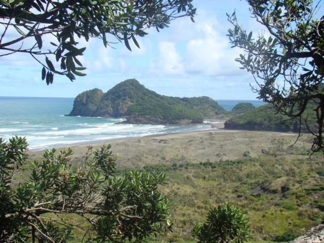 dsc02536.jpg