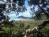 dsc02537_small.jpg