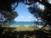 dsc02544_small.jpg
