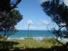 dsc02545_small.jpg