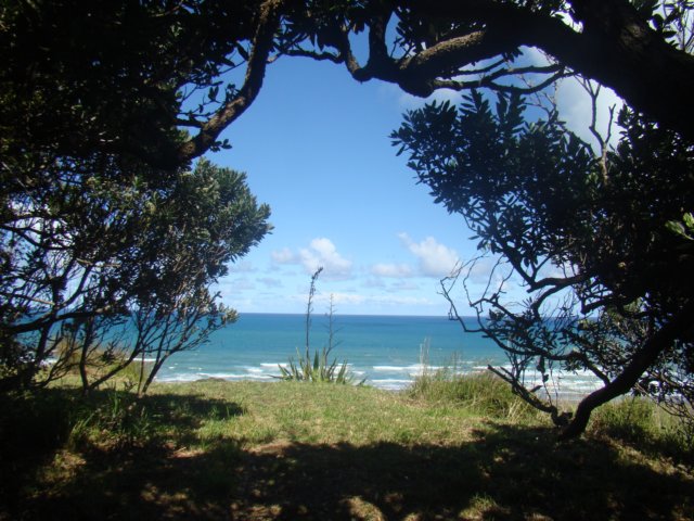 dsc02546.jpg