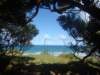 dsc02546_small.jpg