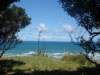 dsc02547_small.jpg