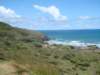 dsc02548_small.jpg