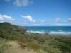 dsc02549_small.jpg
