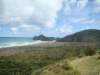 dsc02556_small.jpg
