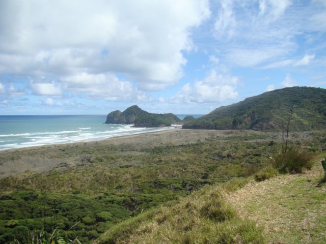 dsc02557.jpg