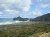 dsc02558_small.jpg