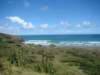 dsc02561_small.jpg