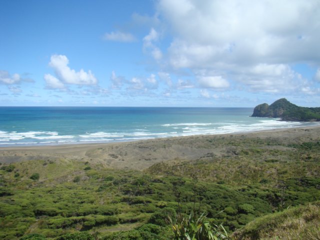 dsc02564.jpg