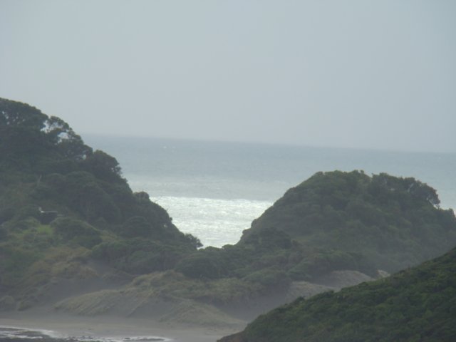 dsc03399.jpg