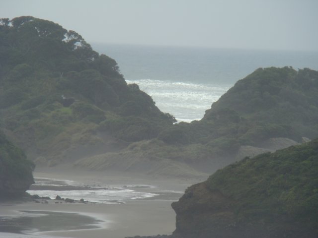 dsc03401.jpg