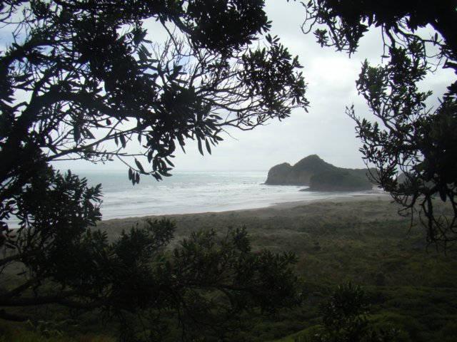 dsc03406.jpg