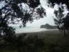 dsc03406_small.jpg