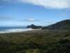 dsc03439_small.jpg