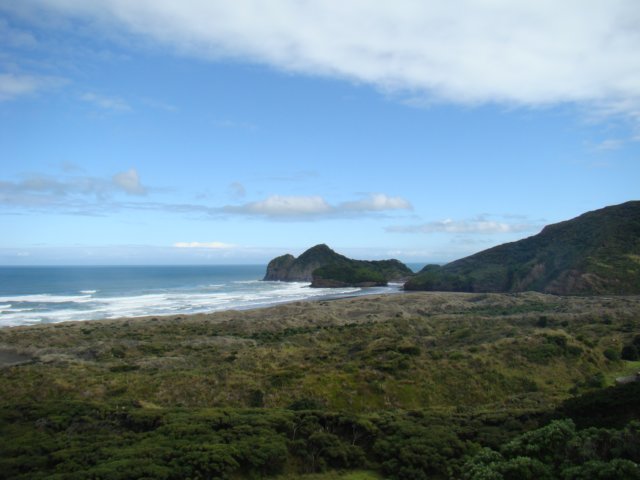 dsc03445.jpg