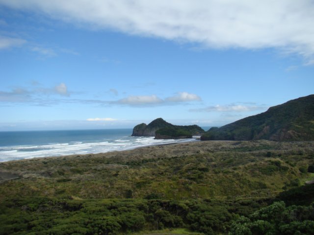 dsc03446.jpg