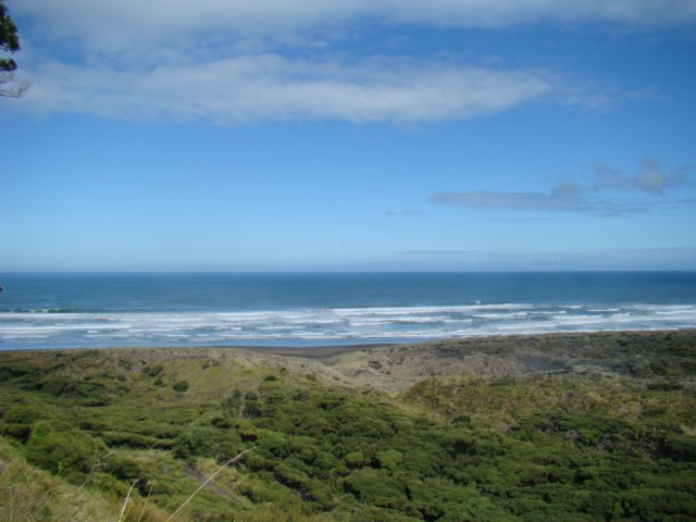 dsc03450.jpg