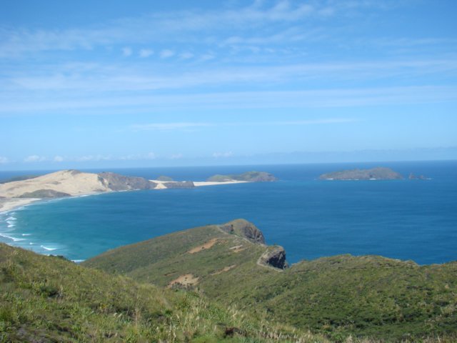 dsc02841.jpg