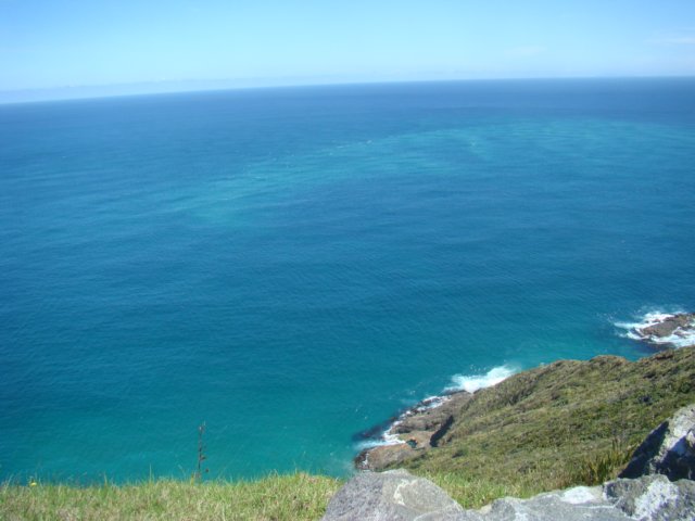 dsc02843.jpg